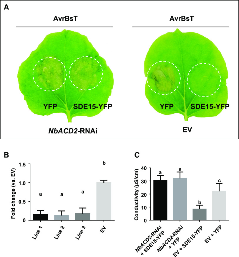 Figure 6.