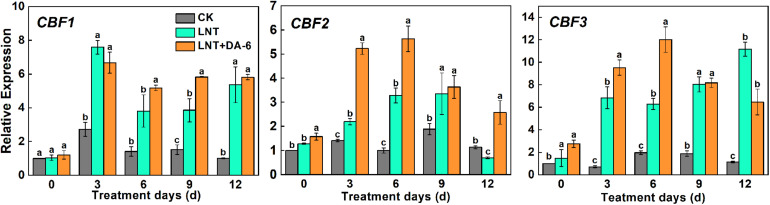 FIGURE 10