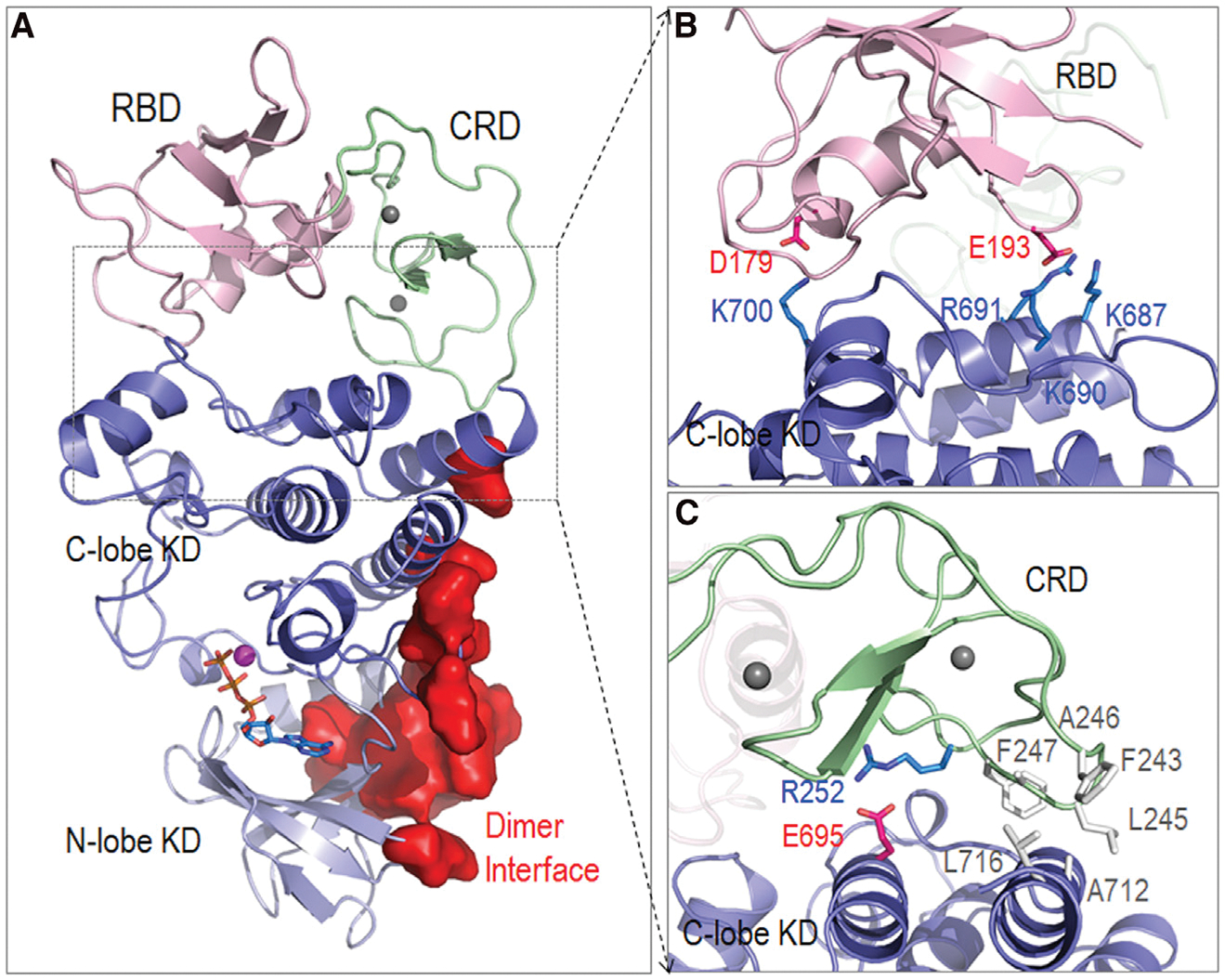 Figure 4.