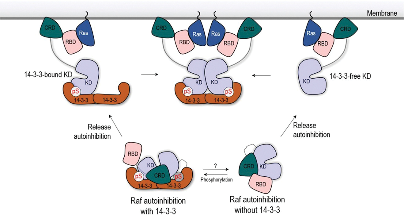 Figure 7.