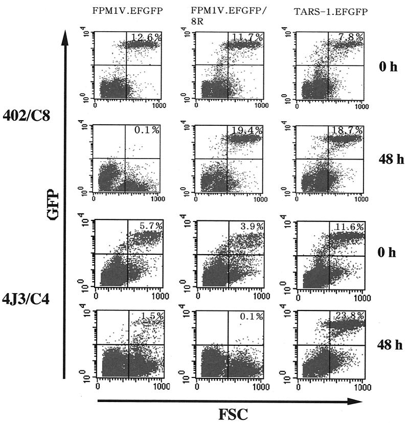 FIG. 5.