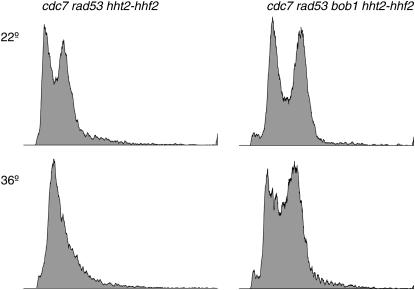 Figure 6.—