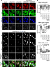 FIG 6