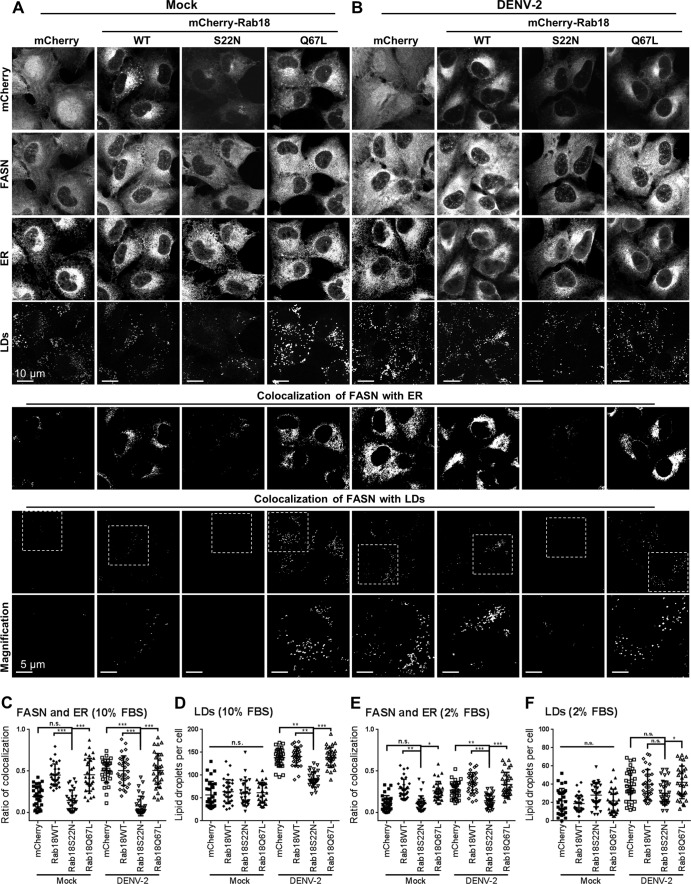 FIG 2