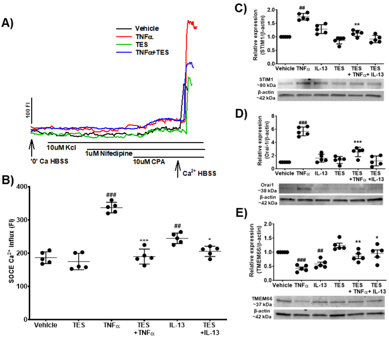 Figure 7: