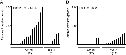 FIG. 7.