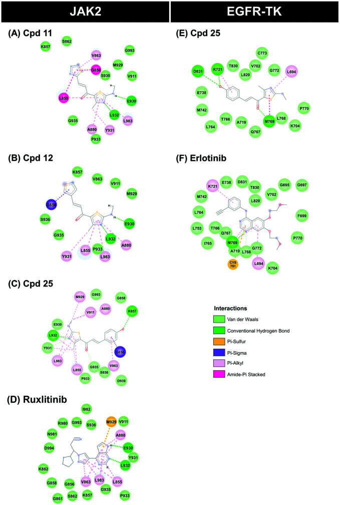 Fig. 6