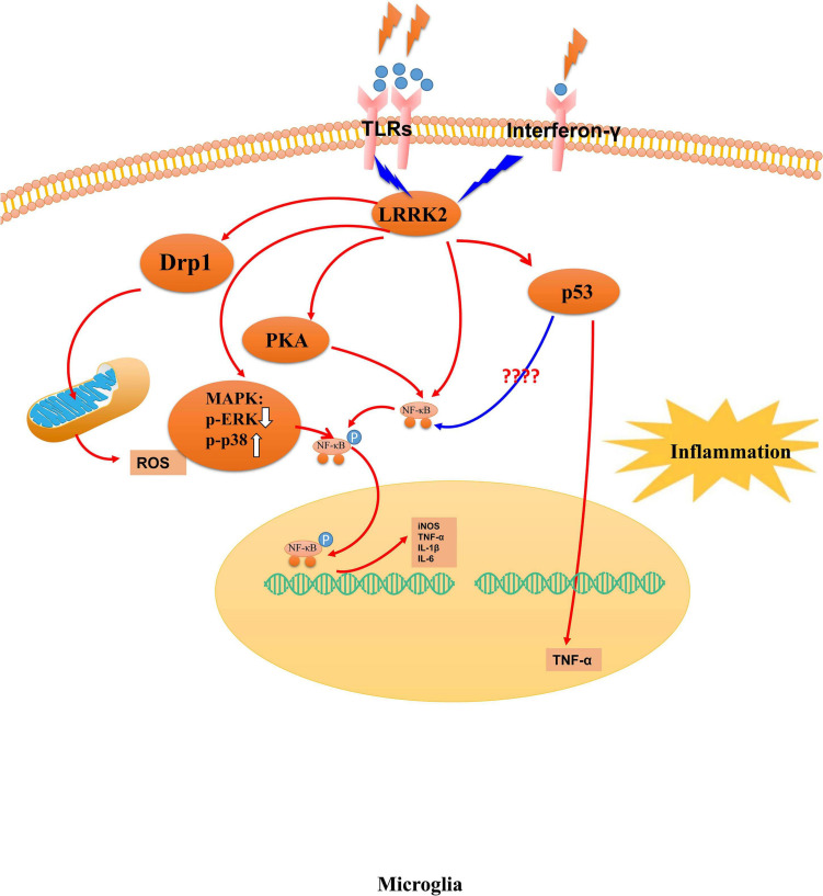 FIGURE 2