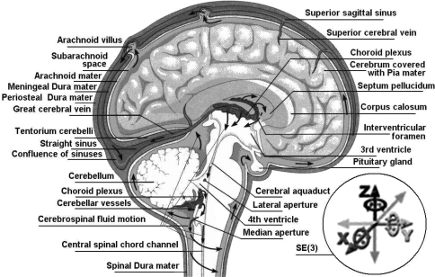 Fig. 1