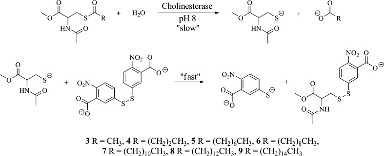 Scheme 2