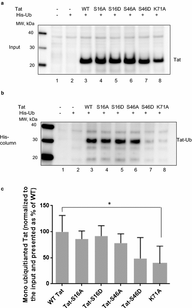 Fig. 7