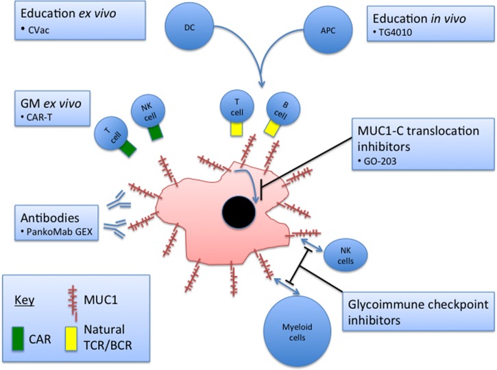 Figure 4.