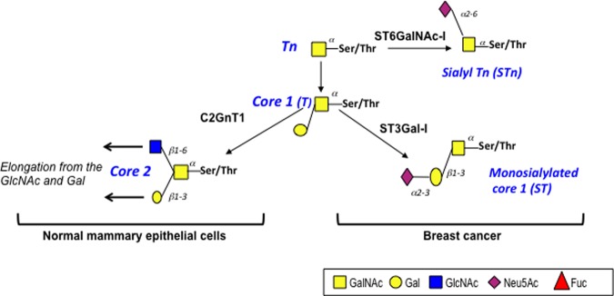 Figure 3.