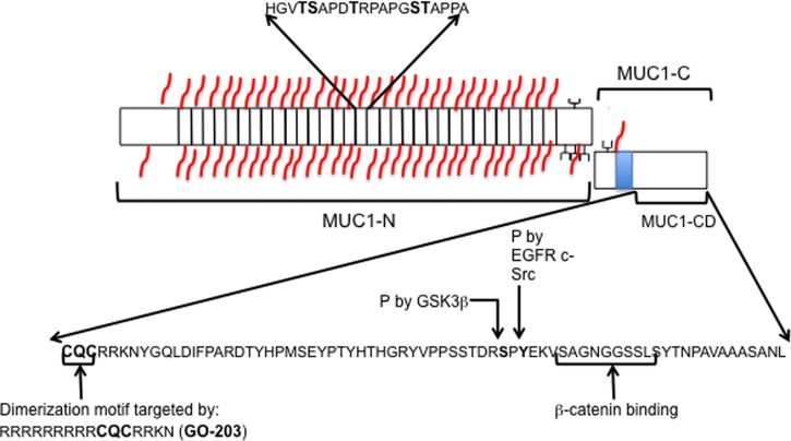 Figure 2.