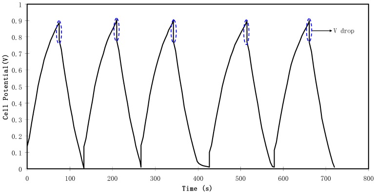 Figure 11