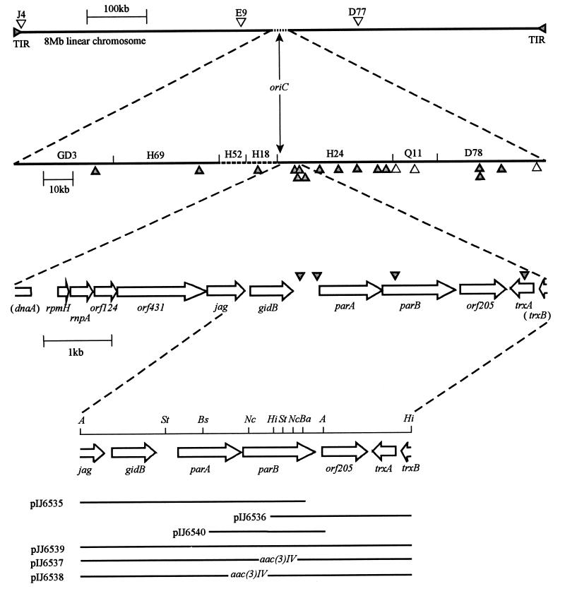 FIG. 1