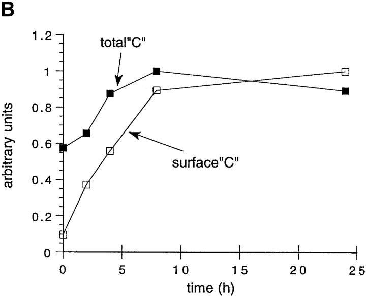 Figure 8