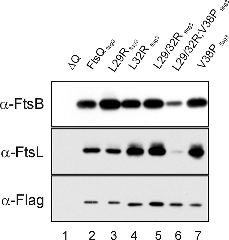 FIG. 5.