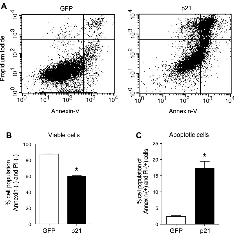 Fig. 4.