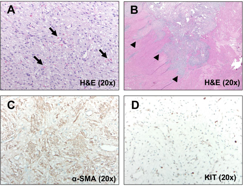 Figure 2: