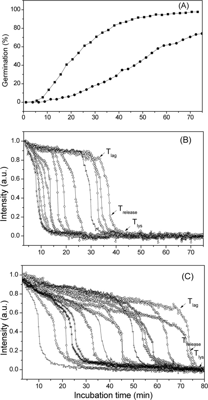 FIG 7