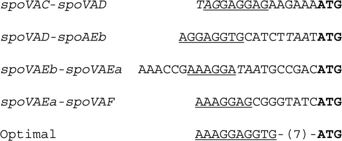 FIG 10