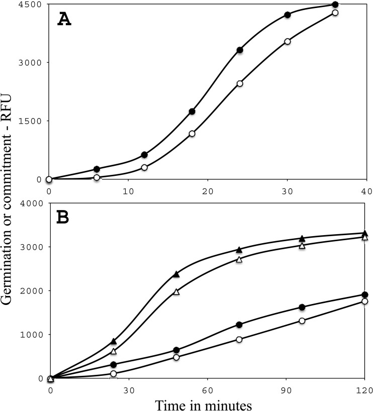 FIG 8