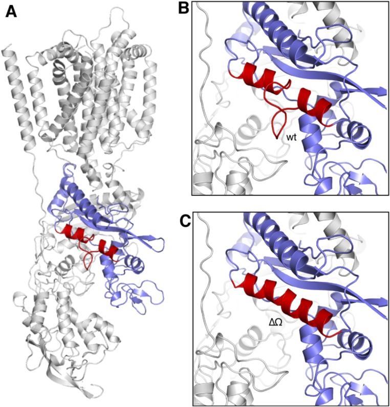 Fig. S5.