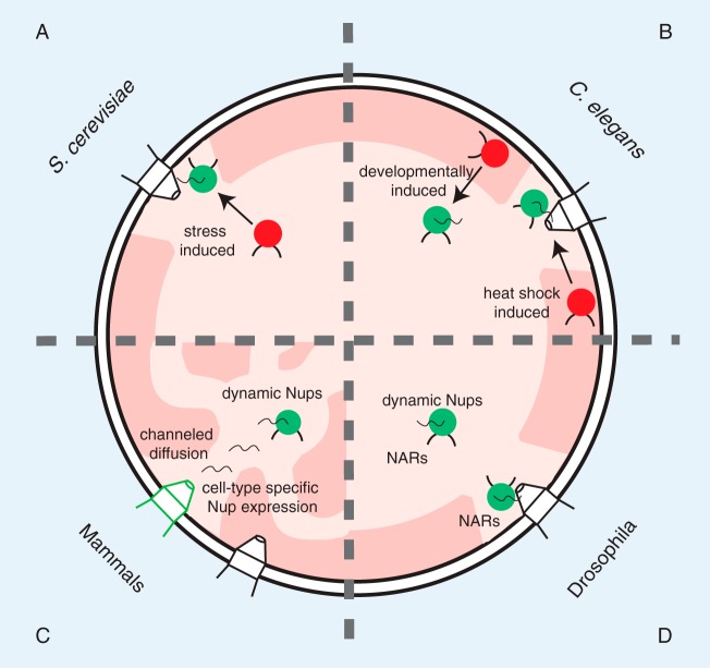 FIG 1