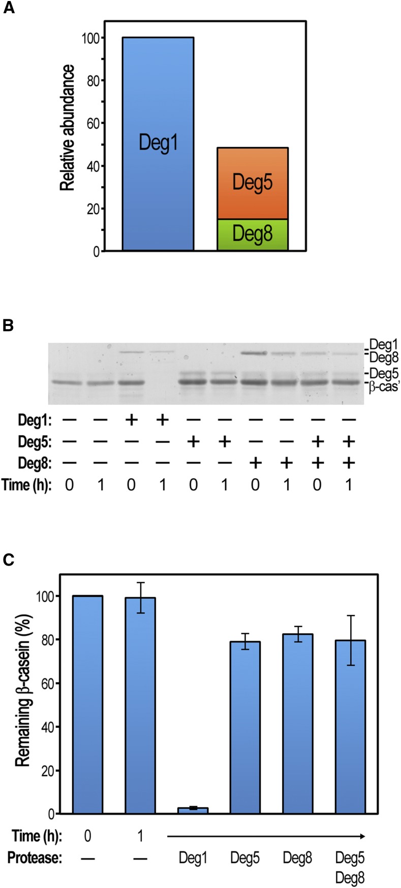 Figure 6.