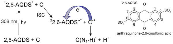 Scheme 2