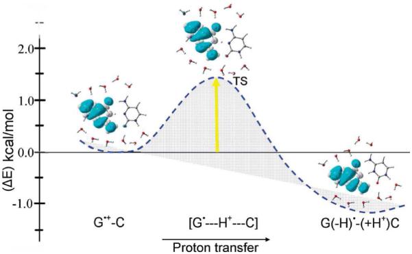 Figure 19