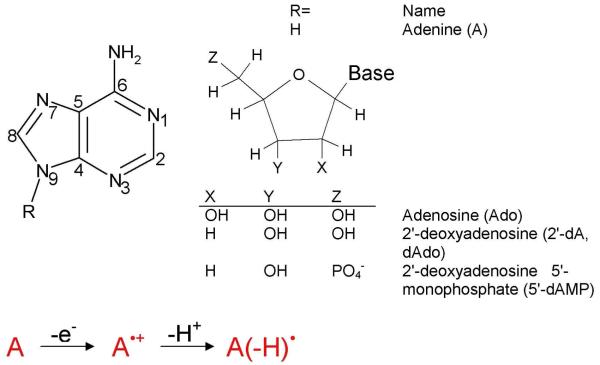 Figure 23