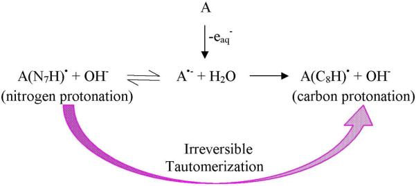 Scheme 6