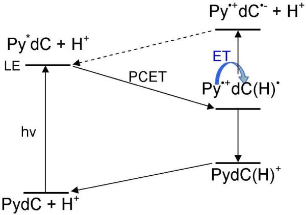 Scheme 5