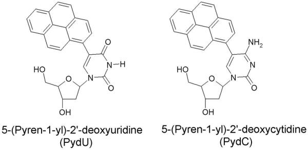 Figure 30