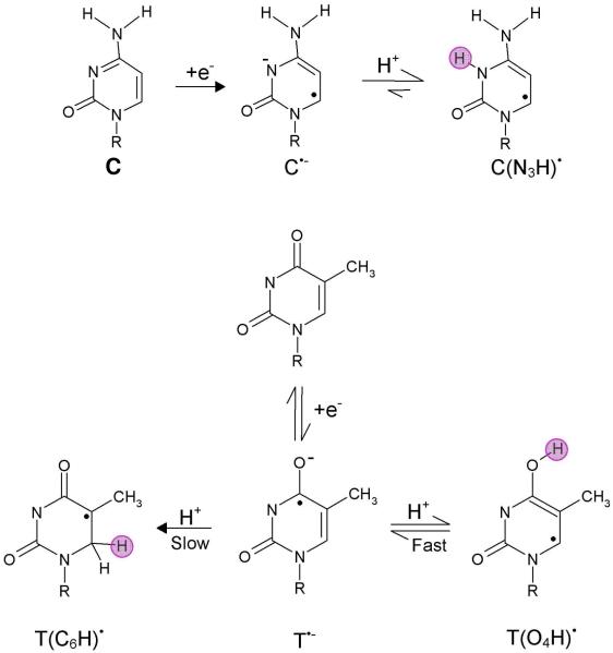 Figure 29