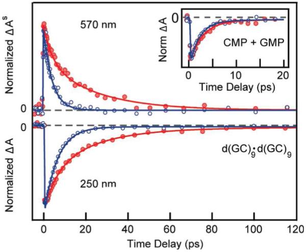 Figure 21