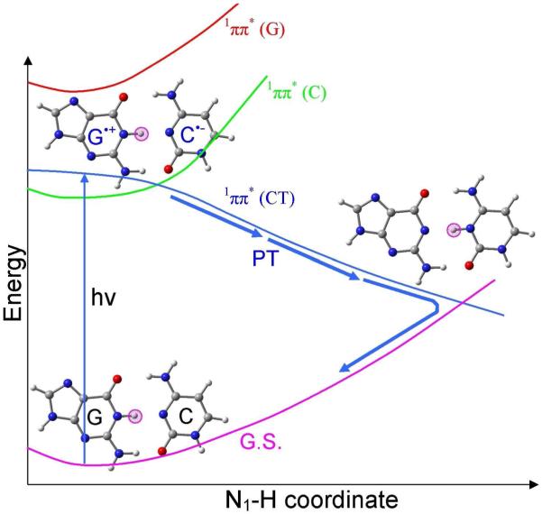 Figure 20