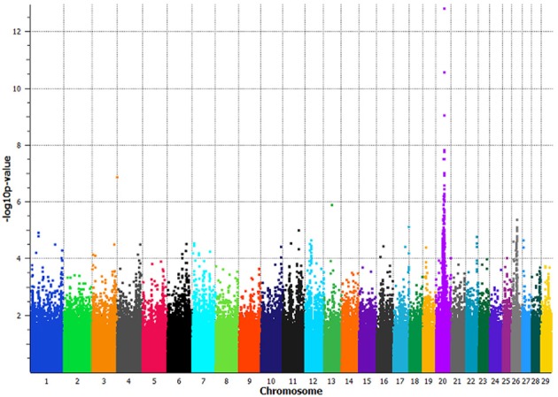 Figure 2