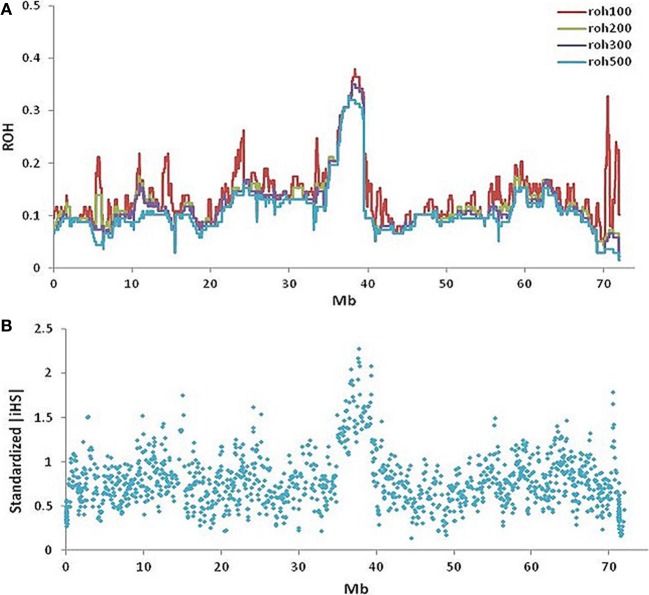 Figure 5