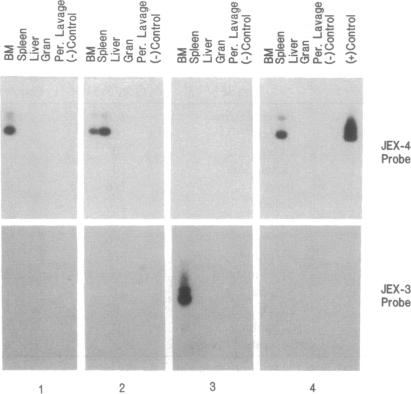 graphic file with name pnas01102-0493-a.jpg