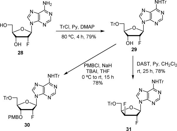 Scheme 3