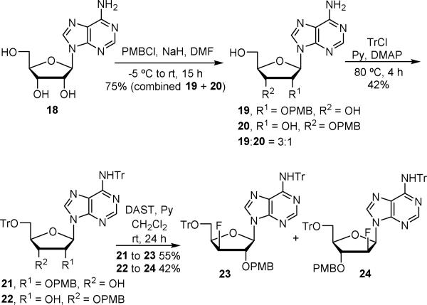 Scheme 1