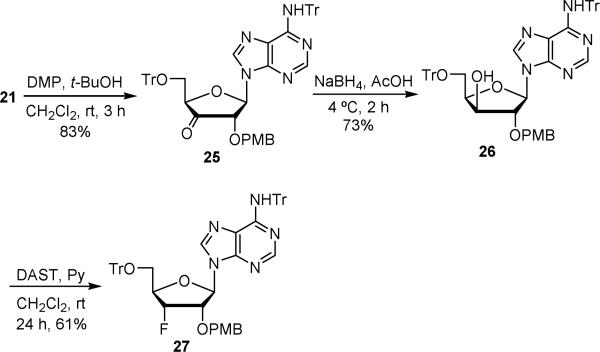 Scheme 2