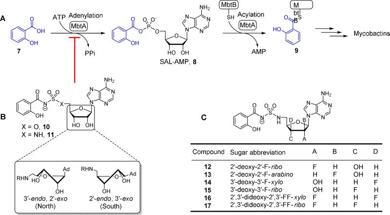 Figure 2