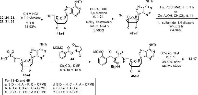 Scheme 6