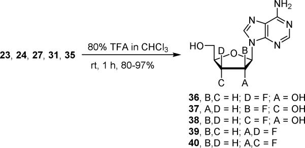 Scheme 5