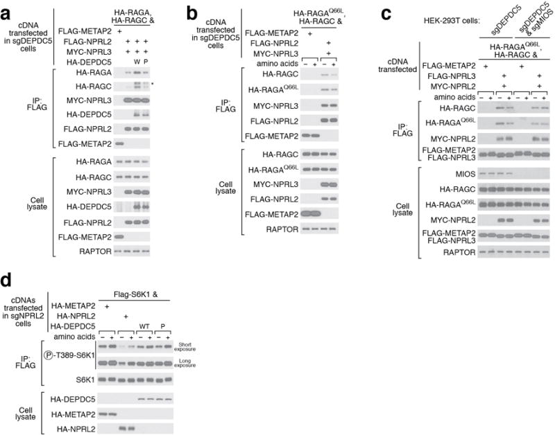 Extended Data Figure 10