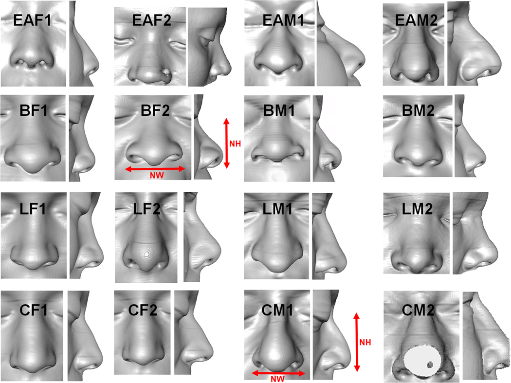 Figure 1: